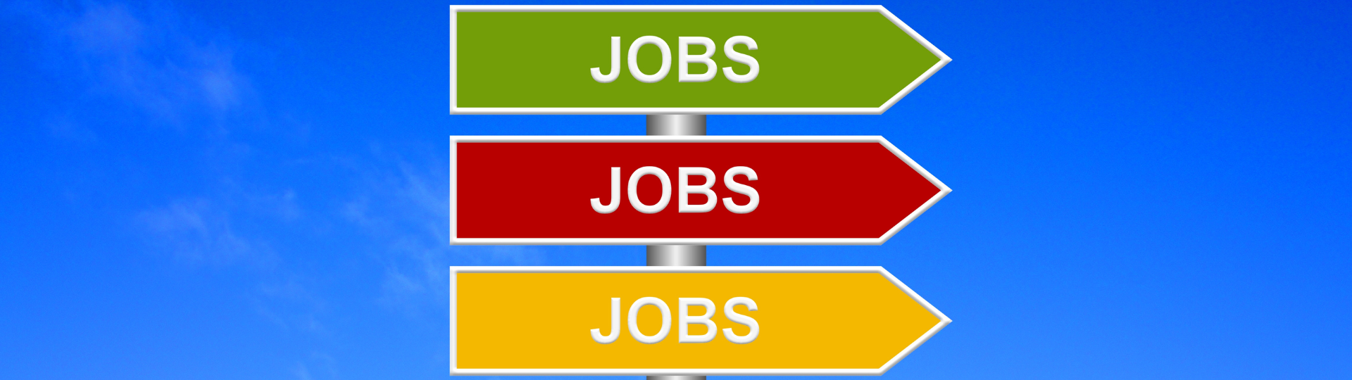 Job search