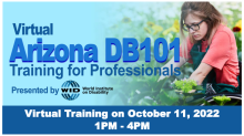 DB101 training for professionals