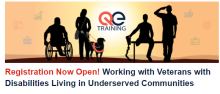 working with veterans with disabilities